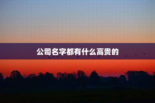 公司名字都有什么高贵的