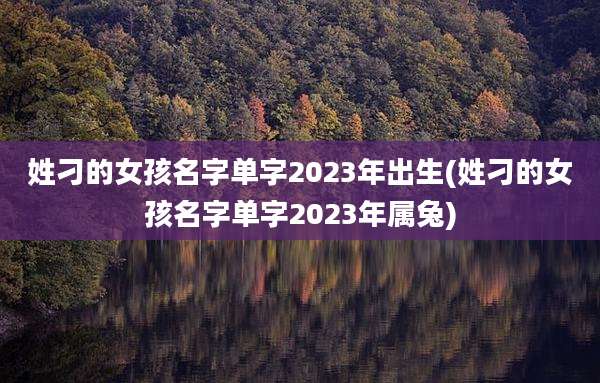 姓刁的女孩名字单字2023年出生(姓刁的女孩名字单字2023年属兔)