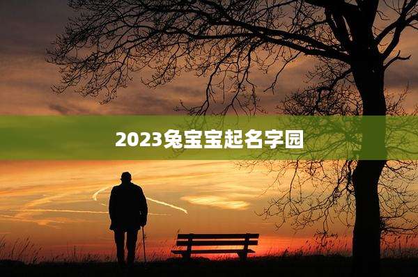 2023兔宝宝起名字园