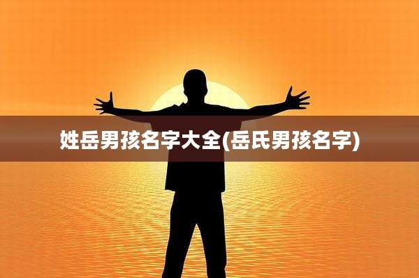 姓岳男孩名字大全(岳氏男孩名字)