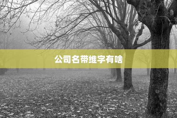 公司名带维字有啥