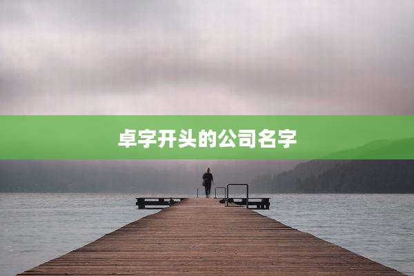 卓字开头的公司名字