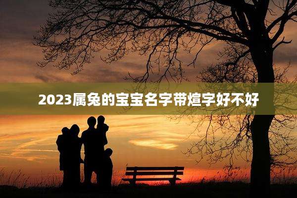 2023属兔的宝宝名字带煊字好不好