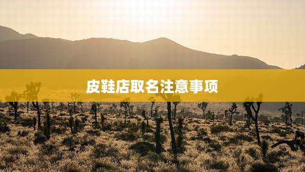 皮鞋店取名注意事项