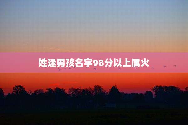 姓逯男孩名字98分以上属火