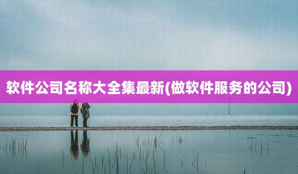 软件公司名称大全集最新(做软件服务的公司)