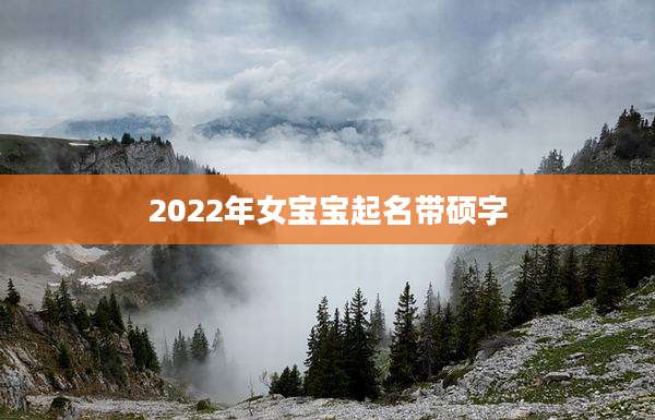 2022年女宝宝起名带硕字