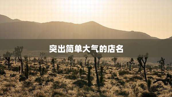 突出简单大气的店名
