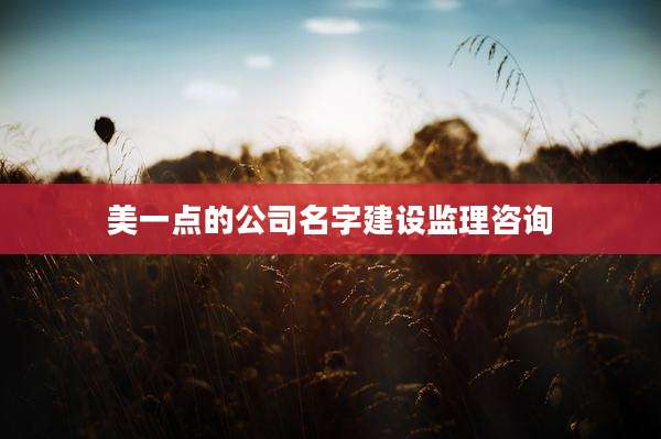 美一点的公司名字建设监理咨询