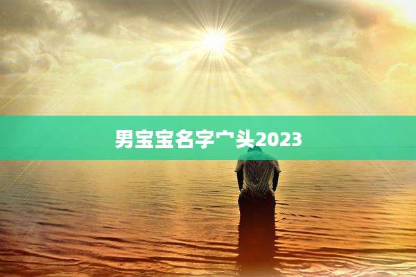 男宝宝名字宀头2023