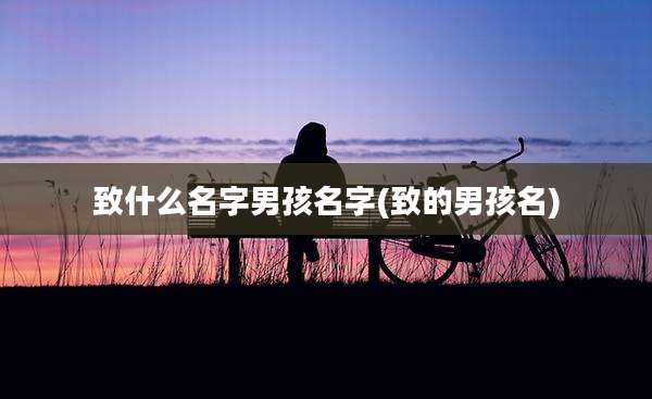 致什么名字男孩名字(致的男孩名)