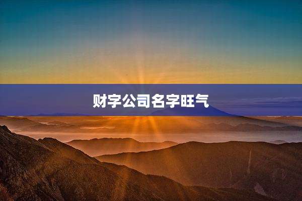 财字公司名字旺气