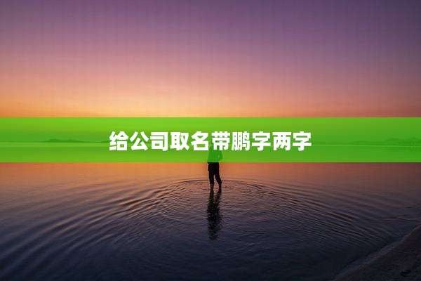 给公司取名带鹏字两字