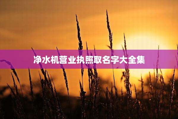 净水机营业执照取名字大全集