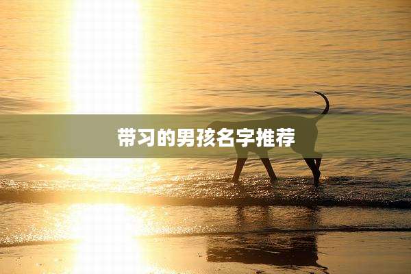 带习的男孩名字推荐