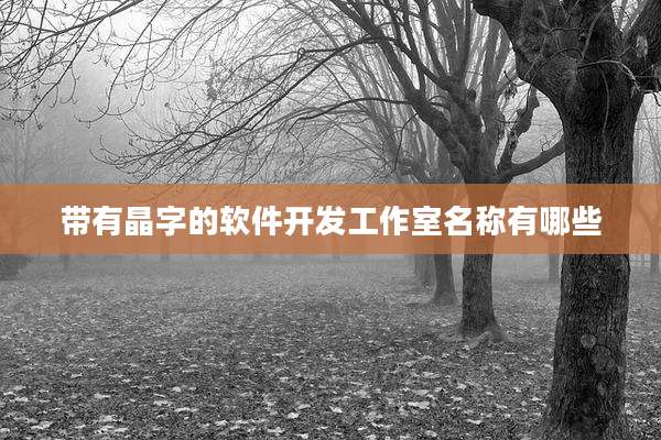 带有晶字的软件开发工作室名称有哪些