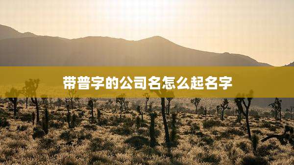 带普字的公司名怎么起名字