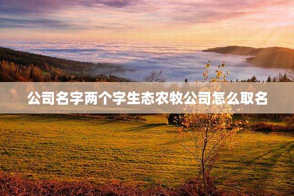 公司名字两个字生态农牧公司怎么取名