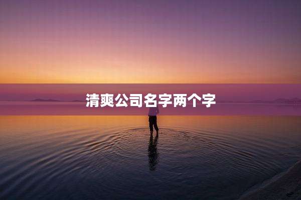 清爽公司名字两个字