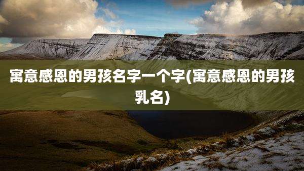 寓意感恩的男孩名字一个字(寓意感恩的男孩乳名)