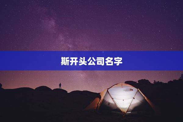 斯开头公司名字