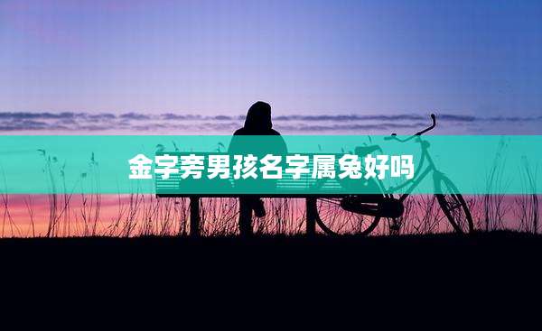 金字旁男孩名字属兔好吗