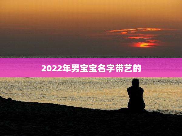 2022年男宝宝名字带艺的