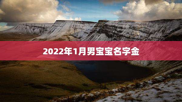 2022年1月男宝宝名字金