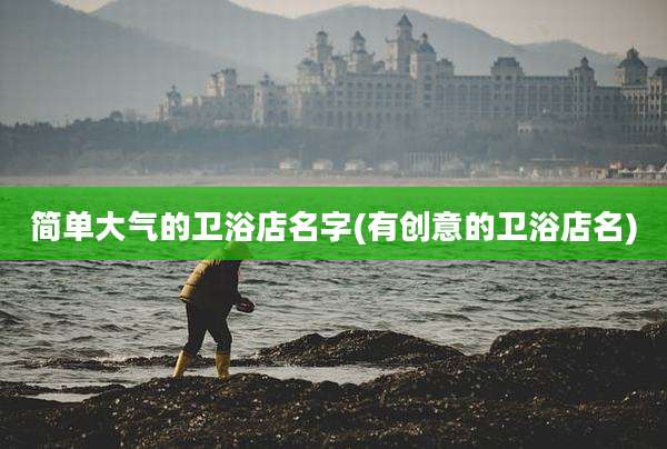 简单大气的卫浴店名字(有创意的卫浴店名)