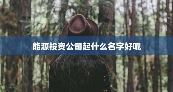 能源投资公司起什么名字好呢