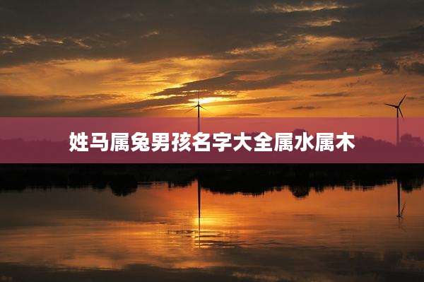 姓马属兔男孩名字大全属水属木