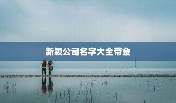 新颖公司名字大全带金