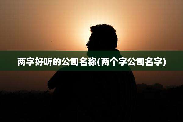 两字好听的公司名称(两个字公司名字)