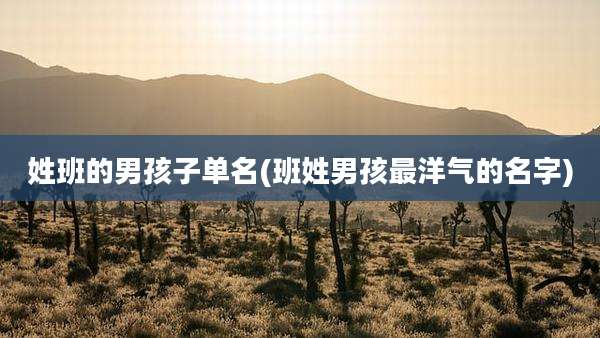 姓班的男孩子单名(班姓男孩最洋气的名字)