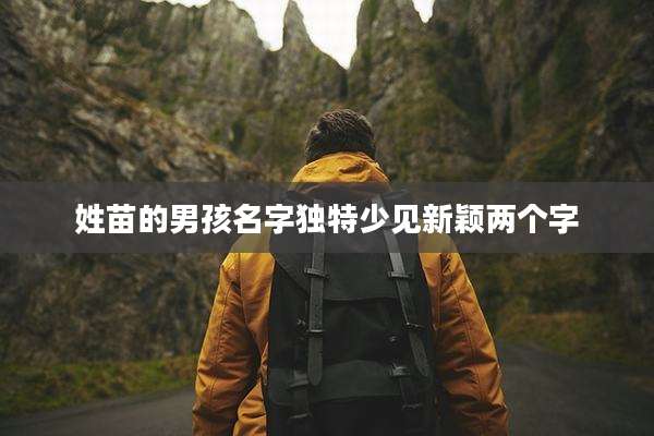 姓苗的男孩名字独特少见新颖两个字