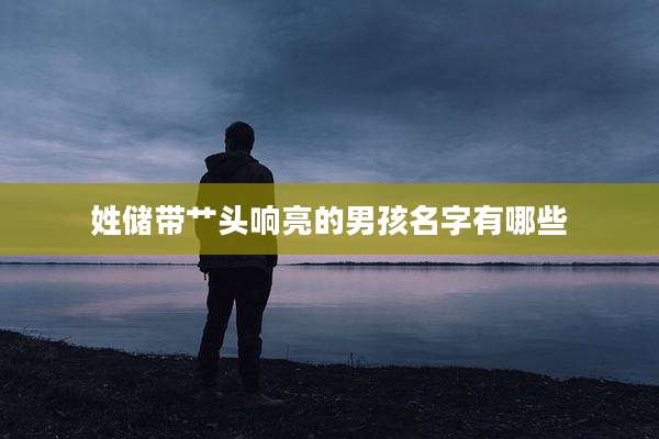 姓储带艹头响亮的男孩名字有哪些