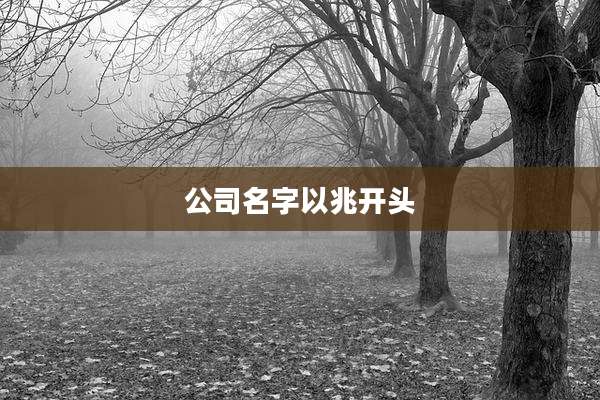 公司名字以兆开头