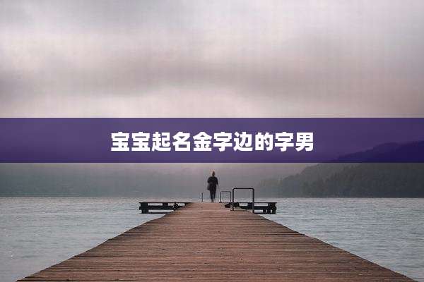 宝宝起名金字边的字男