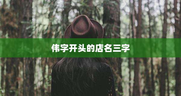 伟字开头的店名三字