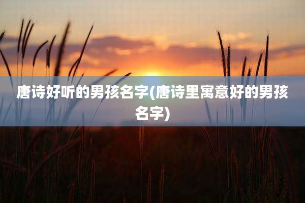 唐诗好听的男孩名字(唐诗里寓意好的男孩名字)