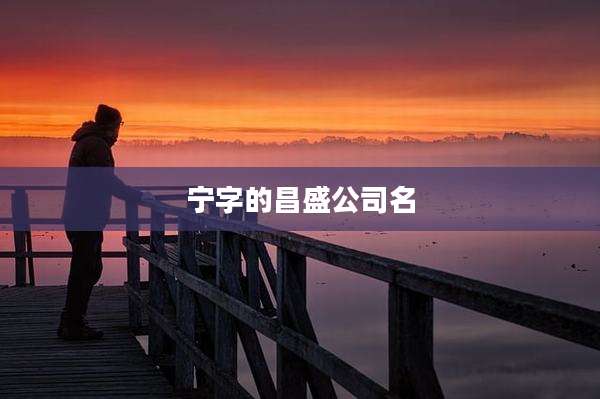 宁字的昌盛公司名