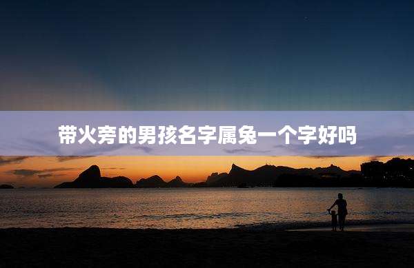带火旁的男孩名字属兔一个字好吗