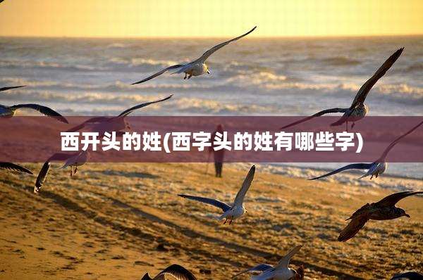 西开头的姓(西字头的姓有哪些字)