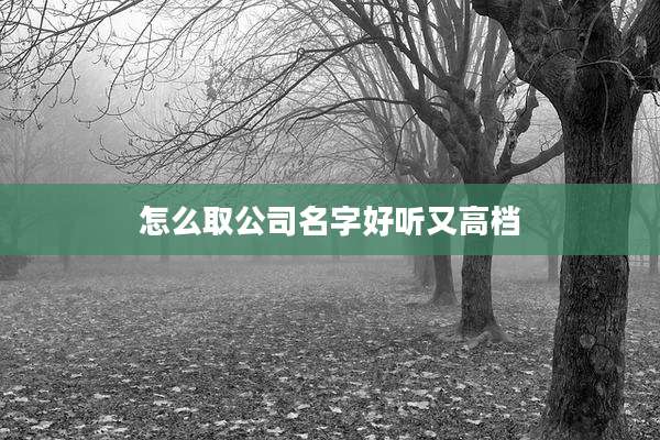 怎么取公司名字好听又高档