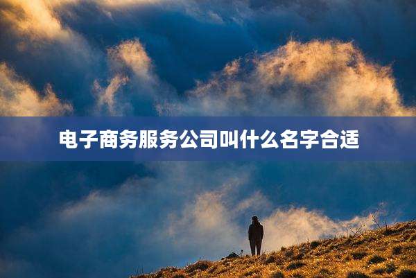 电子商务服务公司叫什么名字合适