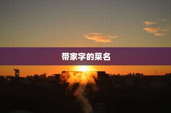 带家字的菜名