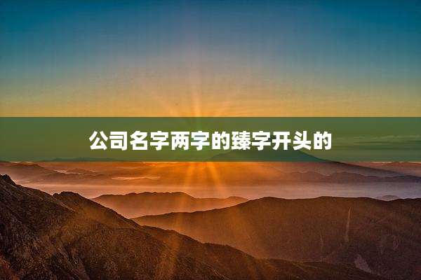 公司名字两字的臻字开头的