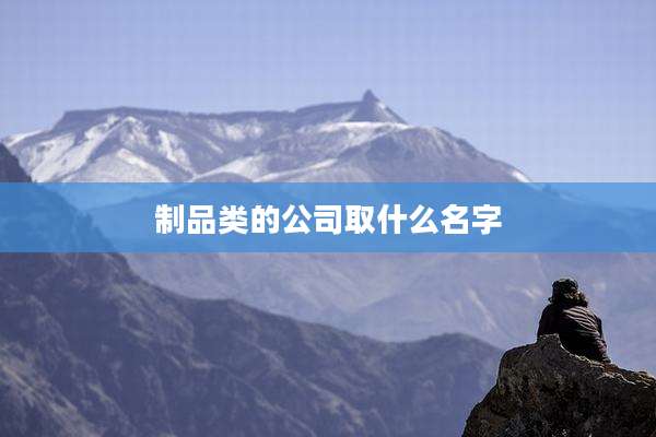 制品类的公司取什么名字