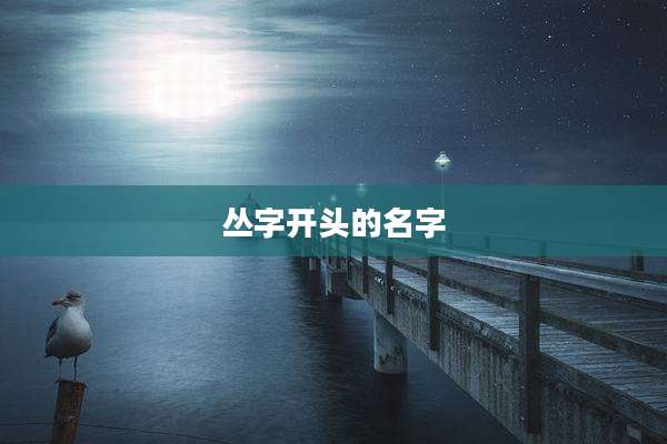 丛字开头的名字