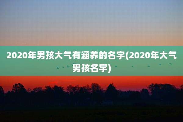2020年男孩大气有涵养的名字(2020年大气男孩名字)